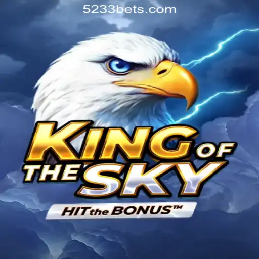 KingOfTheSky: A Journey through the Digital Cloudscape